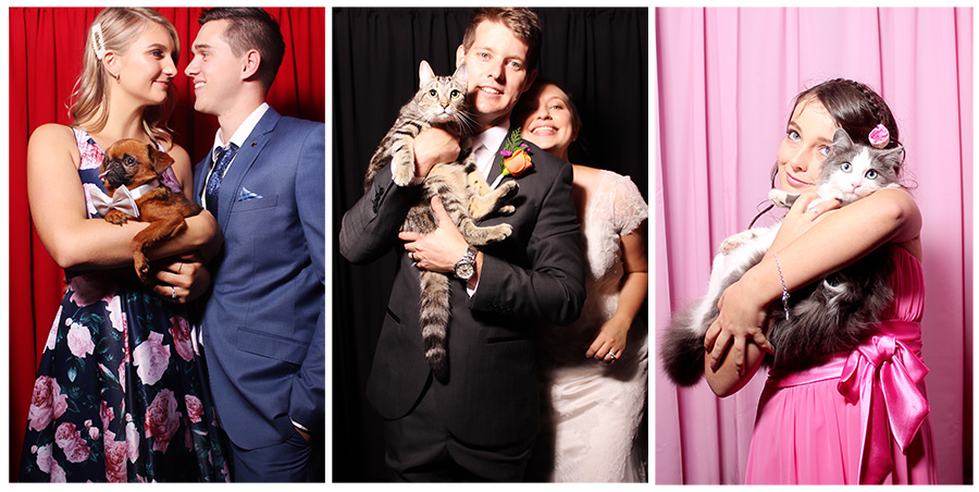 Pets at your Wedding Ideas | In the Booth Photobooth Blog