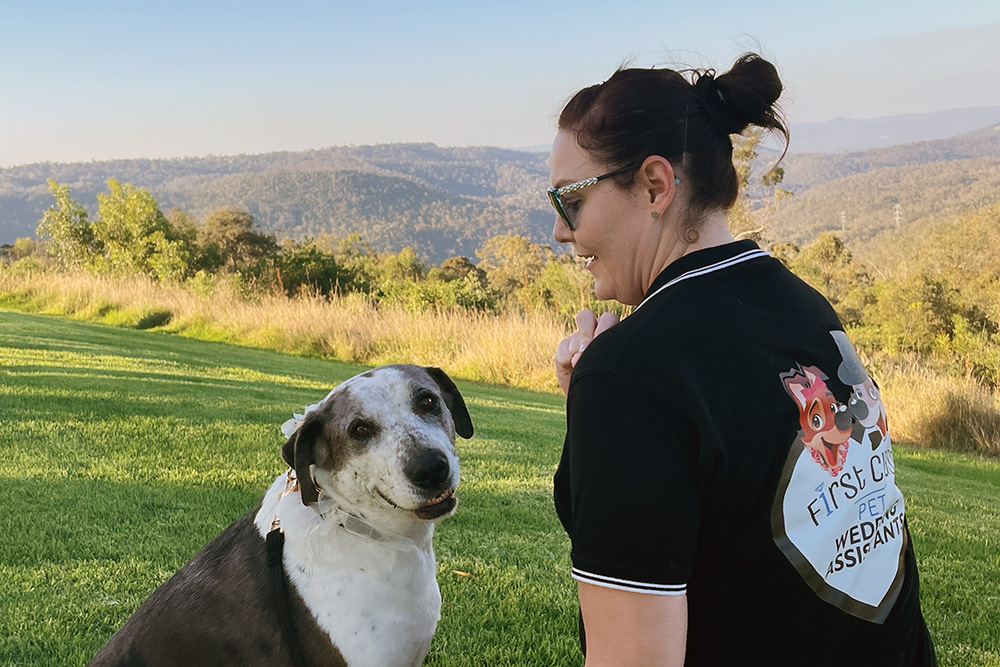 Pets At Weddings