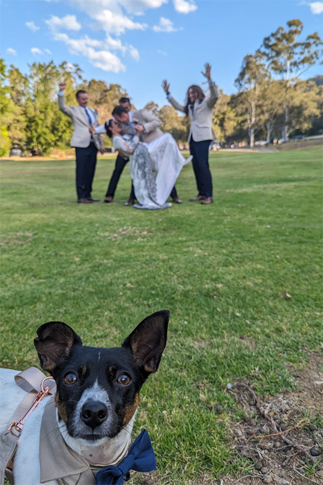 Tamborine Mountain Glades Wedding 7