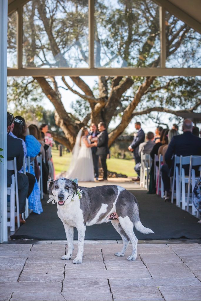 Toowoomba Wedding